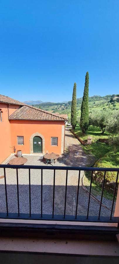 Agriturismo Villa Sardini Lucca Exteriér fotografie