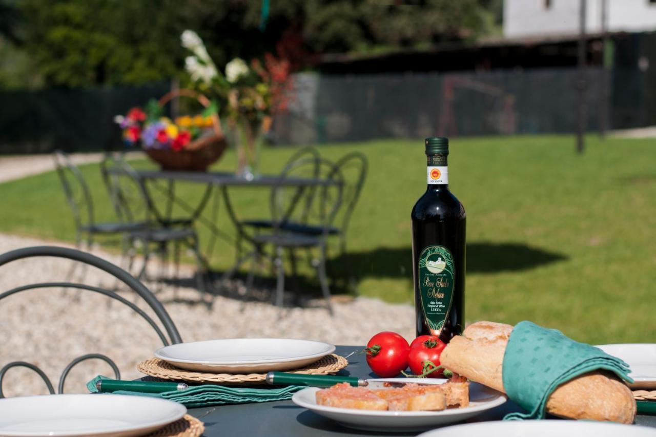 Agriturismo Villa Sardini Lucca Exteriér fotografie