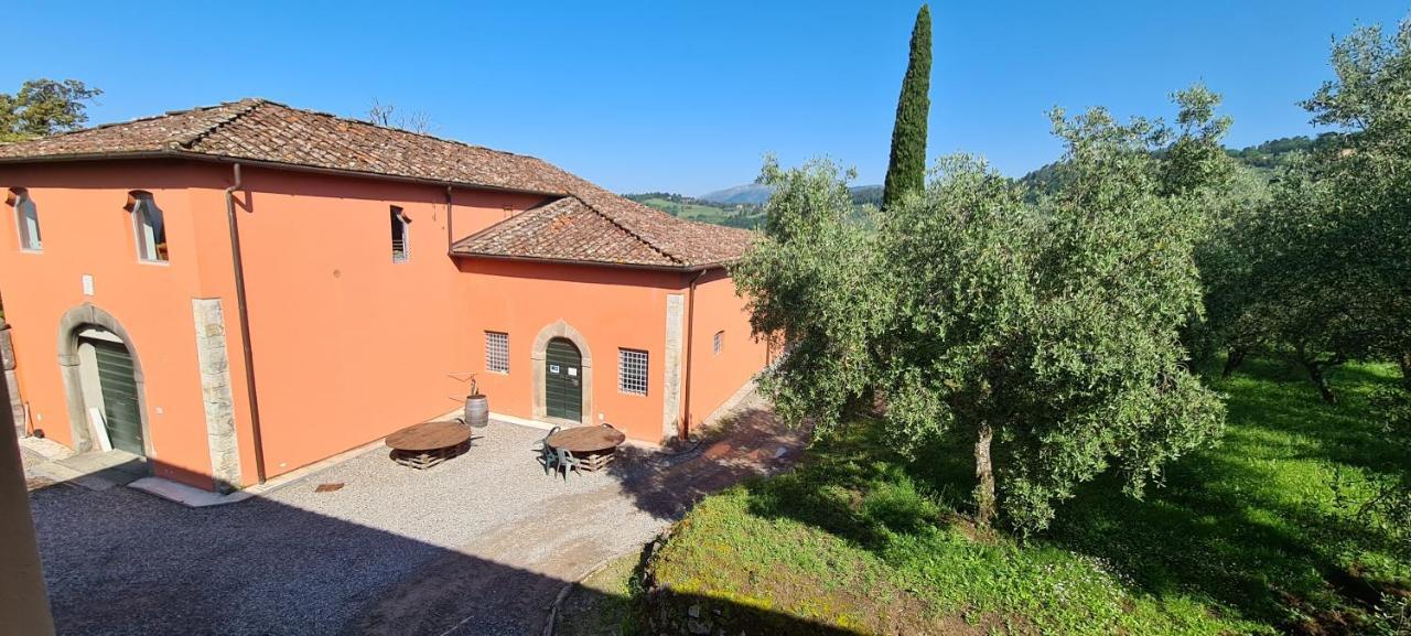 Agriturismo Villa Sardini Lucca Exteriér fotografie