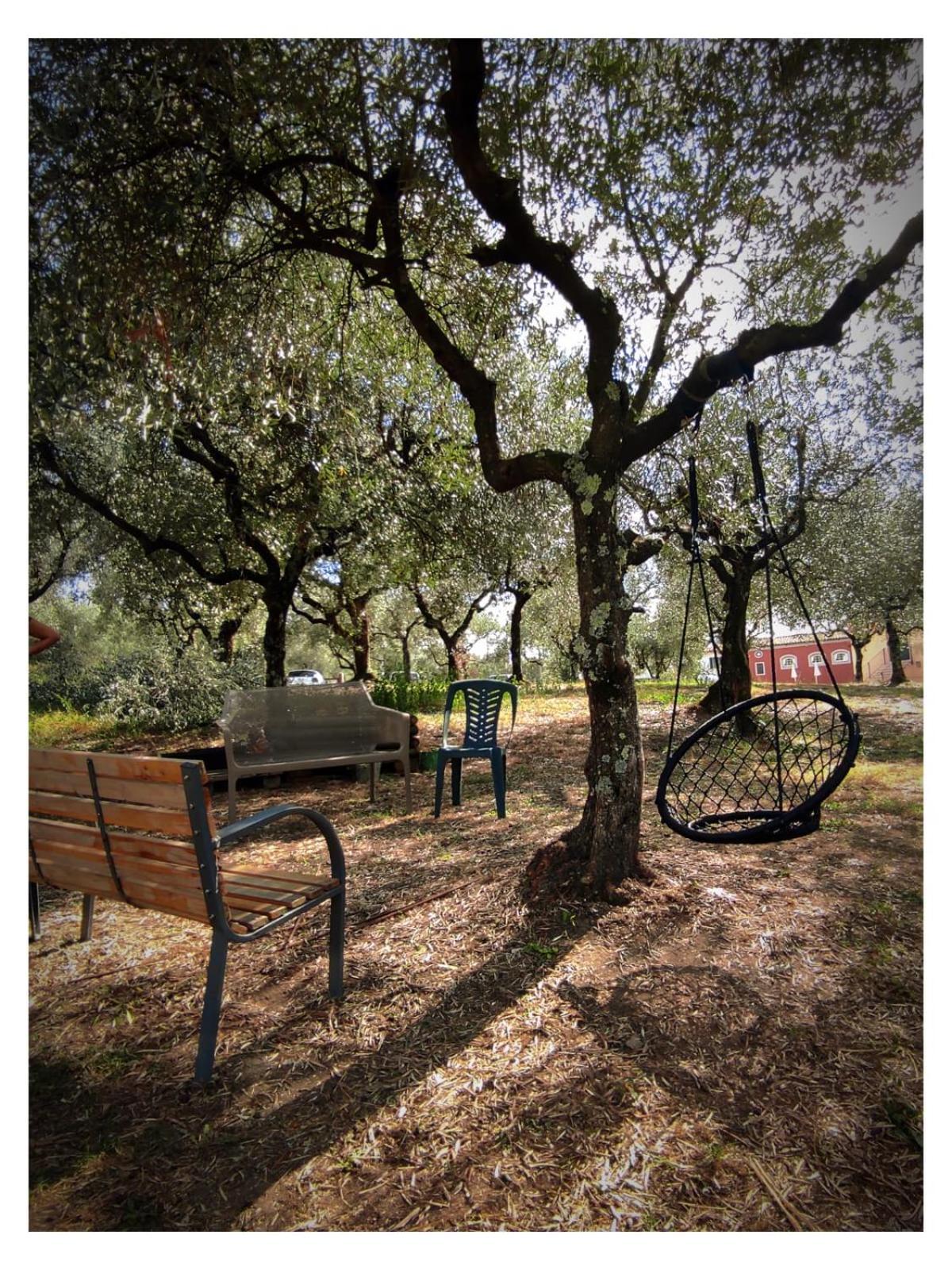 Agriturismo Villa Sardini Lucca Exteriér fotografie