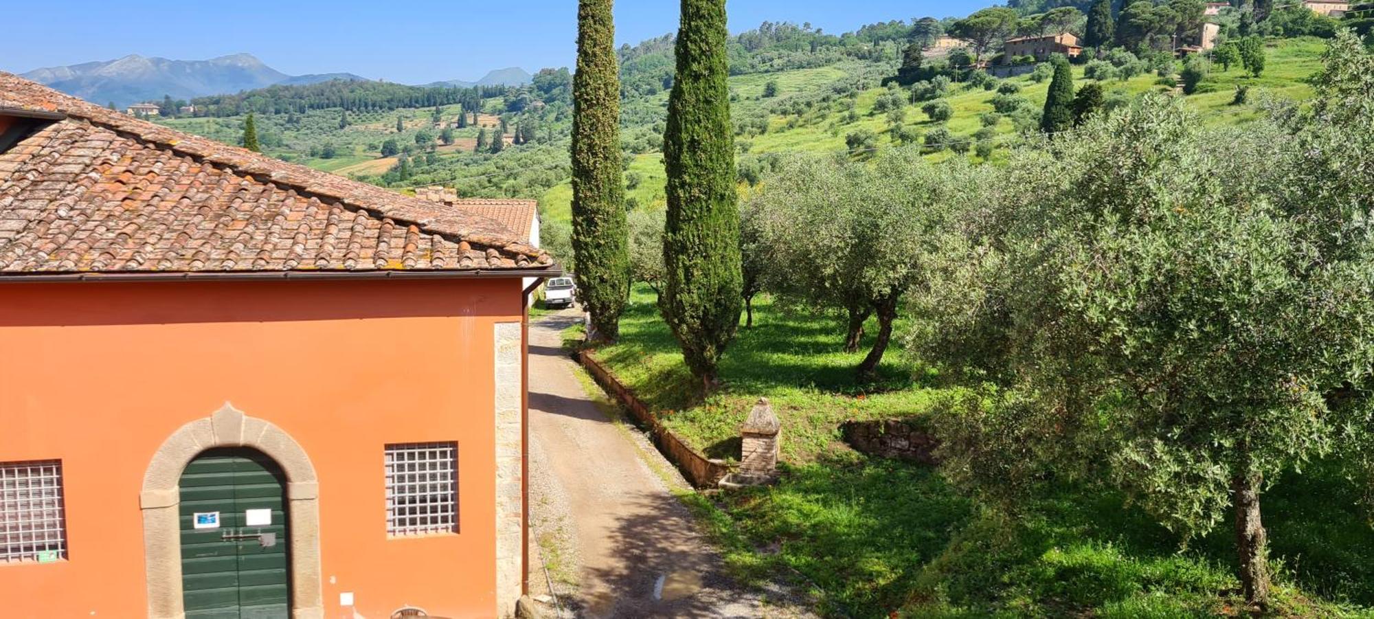 Agriturismo Villa Sardini Lucca Exteriér fotografie